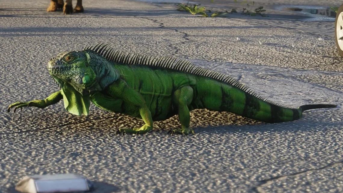 GTA 6: Every Animal Confirmed So Far